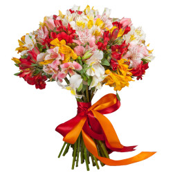 Альстромерия ассорти из розовой, белой, желтой и красной