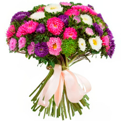 Астра ассорти из фиолетовой, розовой, зеленой, белой и нежно-розовой