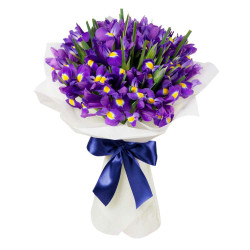 Ирис фиолетовый