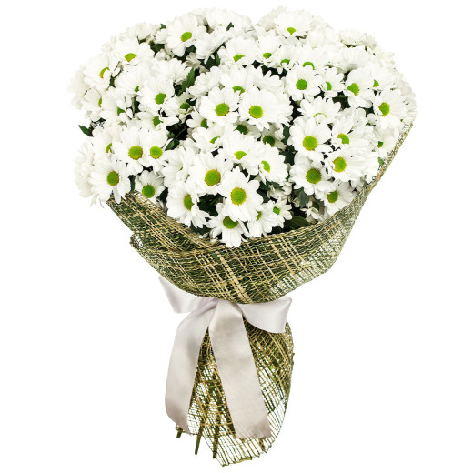 Букет из белых хризантем «Чистый шарм»