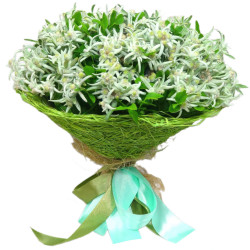 Букет из эдельвейсов «Горный бриз»