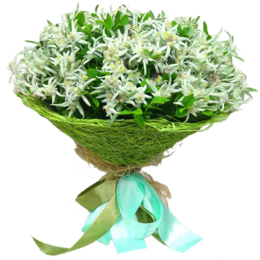 Букет из эдельвейсов «Горный бриз»