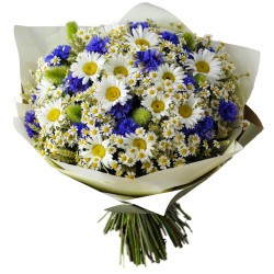Букет с васильками и ромашками «Васильковое утро»
