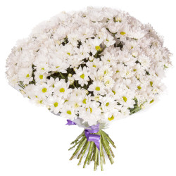 Букет из кустовых хризантем «Белоснежные грёзы»