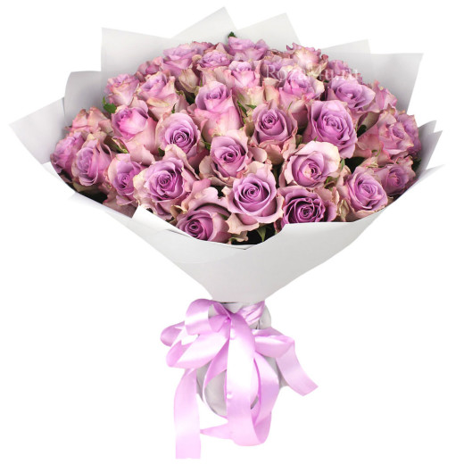 Букет из фиолетовых роз «Изящество»