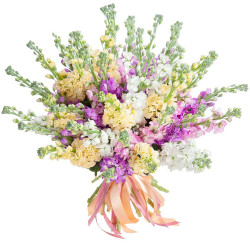 Букет из маттиолл микс «Цветочный шедевр»