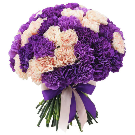 Диантус ассорти из фиолетового и розового