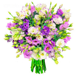 Эустома ассорти из сиреневой и бело-фиолетовой