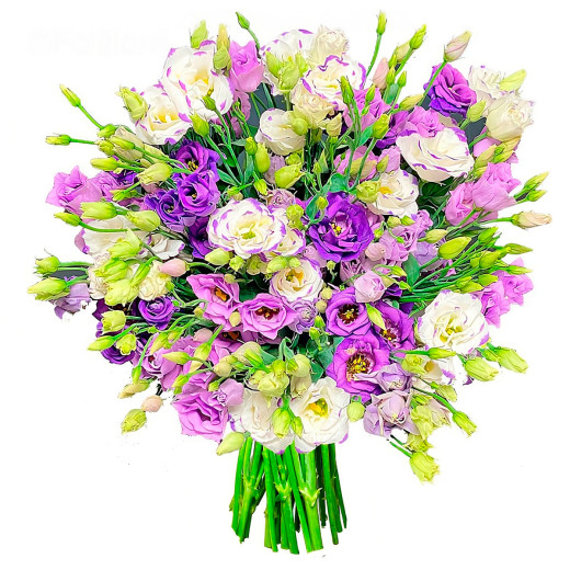 Эустома ассорти из сиреневой и бело-фиолетовой