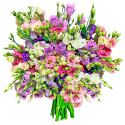 Эустома ассорти из белой, розовой, фиолетовой и сиреневой