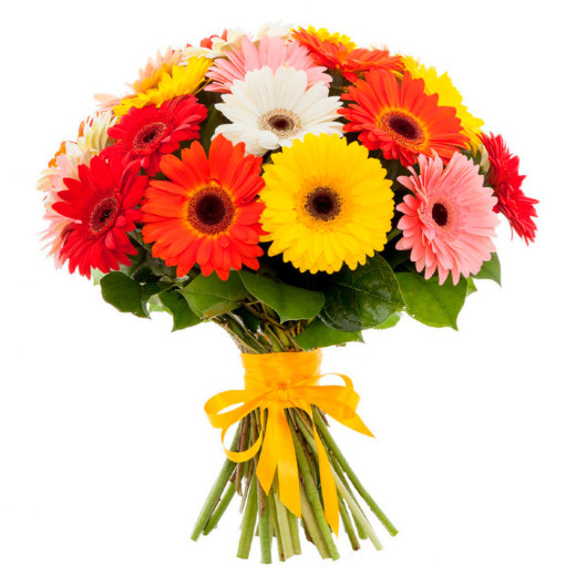 Гербера ассорти из красной, желтой, белой, розовой и оранжевой