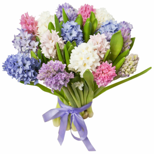 Гиацинт ассорти из белого, розового, синего и сиреневого