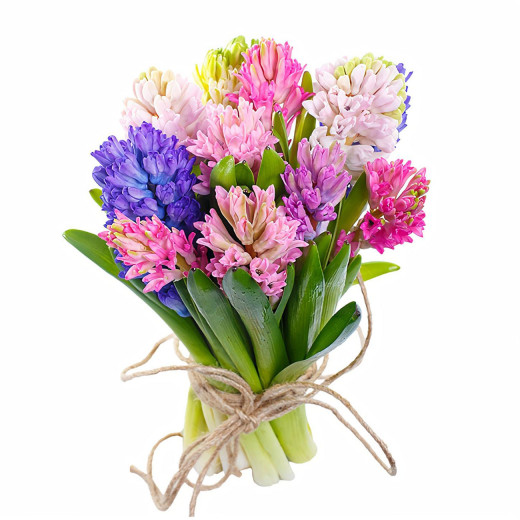 Гиацинт ассорти из розового, сиреневого, фиолетового, бежевого и зеленого