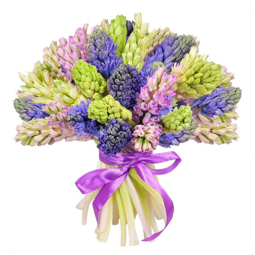 Гиацинт ассорти из розового, зеленого и синего