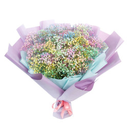 Гипсофила ассорти из желтой, розовой, зеленой, белой и синей