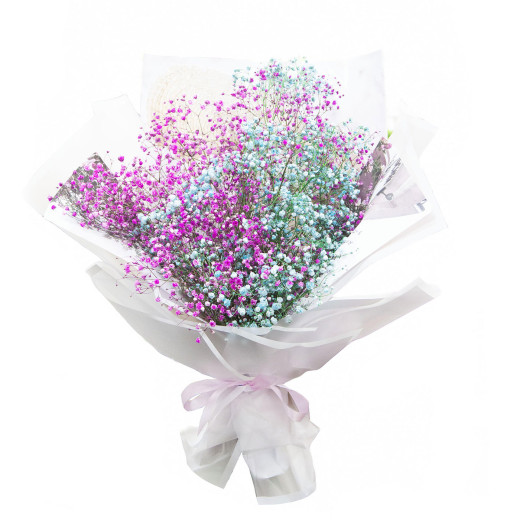 Гипсофила ассорти из розовой и голубой