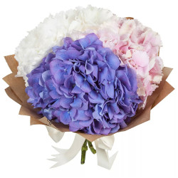Гортензия ассорти из белой, розовой и фиолетовой