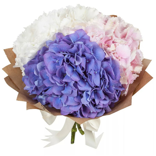 Гортензия ассорти из белой, розовой и фиолетовой