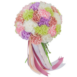 Гвоздика ассорти из  белой, зеленой, фиолетовой, розовой и бордовой