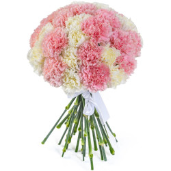 Гвоздика ассорти из белой и розовой