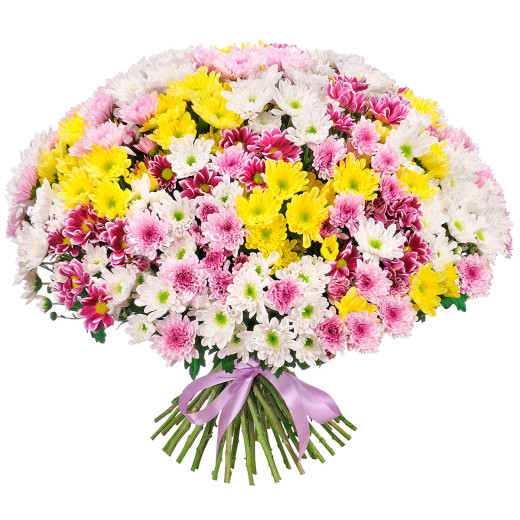 Кустовая хризантема ассорти из розовой, белой, желтой и фиолетовой
