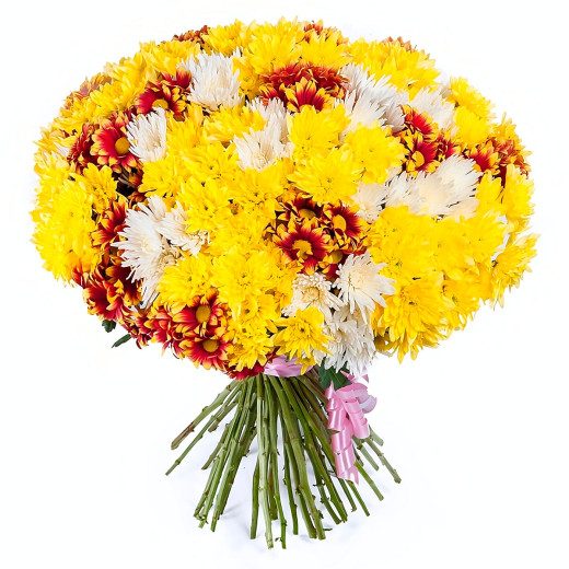 Кустовая хризантема ассорти из желтой, красно-желтой и белой