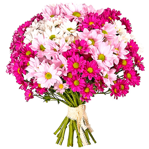 Кустовая хризантема ассорти из розовой, белой и светло-розовой