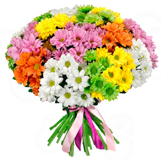 Кустовая хризантема ассорти из оранжевой, розовой, зеленой, белой и желтой
