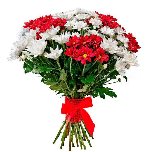 Кустовая хризантема ассорти из красной и белой