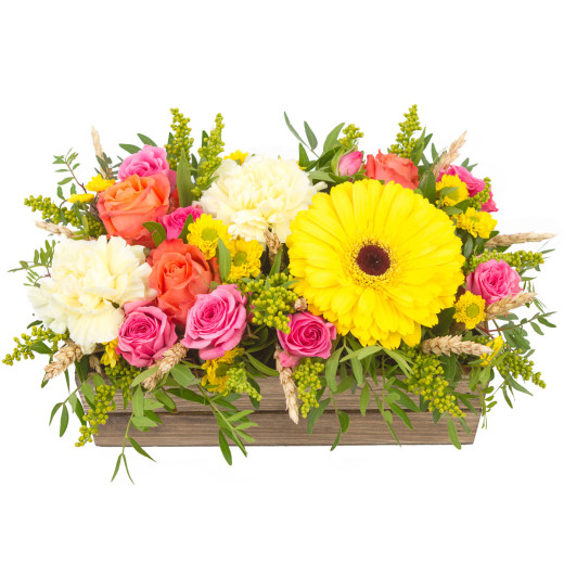 Цветочный ящик «Живой блеск»