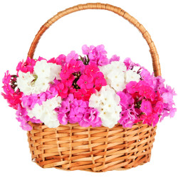 Плетёная корзина с цветами «Летний сон»