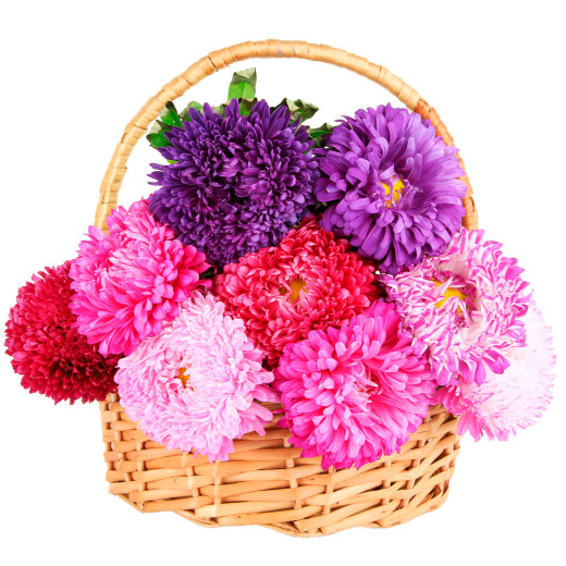 Корзинка с астрами «Радужный сюрприз»