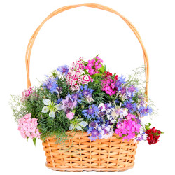 Цветочная композиция в корзинке «Летняя фантазия»