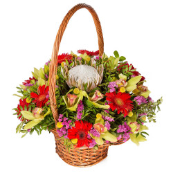 Цветы в корзине на губке «Цветочный ярмарок»