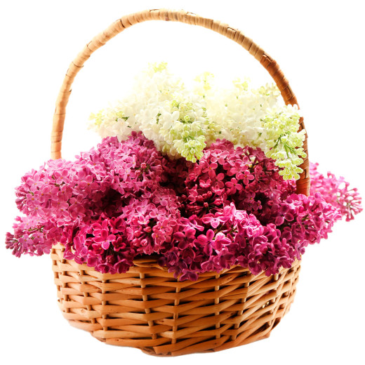 Корзина с сиренью «Весенняя сказка»