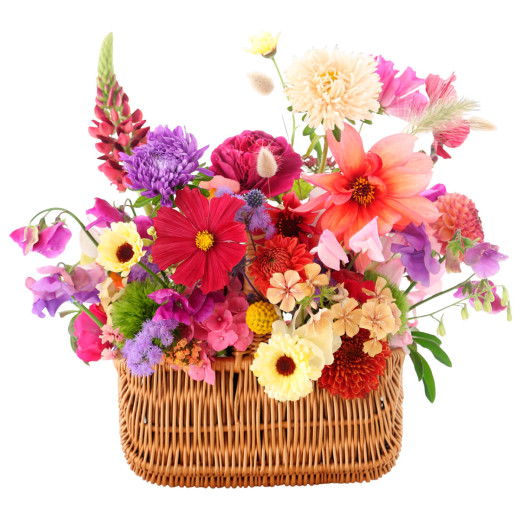 Дизайнерская композиция живых цветов «Праздничные мотивы»