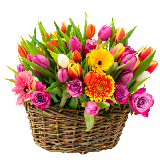 Цветы в корзине живые «Солнечный радуж»