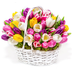 Корзина с тюльпанами «Весенний восторг»