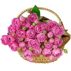 Корзина из пионовидных роз «Сказочная нежность»