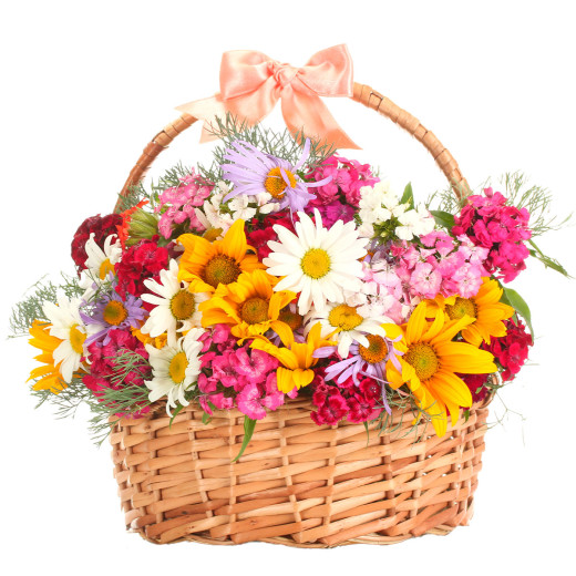 Корзинка с ромашками и гвоздиками «Летняя мелодия»