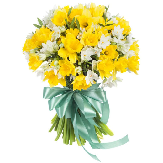 Нарцисс ассорти из белого и розового