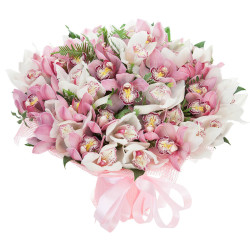 Орхидея ассорти из розовой и белой