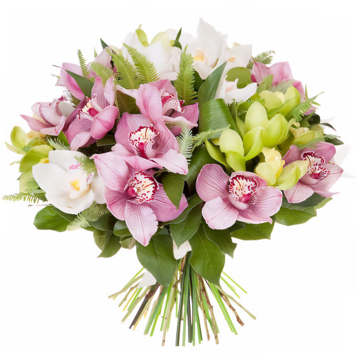 Орхидея ассорти из зеленой, розовой и белой