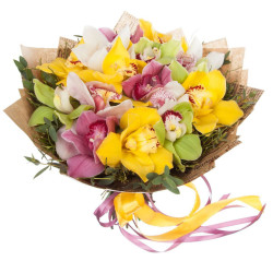 Орхидея ассорти из розовой, зеленой, белой и желтой