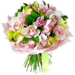 Орхидея ассорти из белой, розовой и зеленой