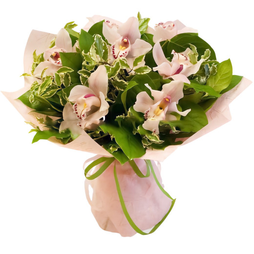 Орхидея светло-розовая