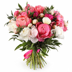 Пион ассорти из белого, розового и красного