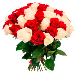 Эквадорская роза ассорти из красной и белой