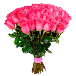 Эквадорская роза Пинк Флойд