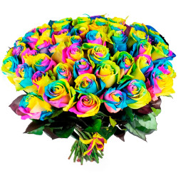 Эквадорская роза радужная